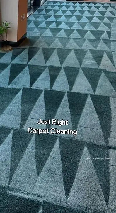 7 Rooms Carpet Cleaning
