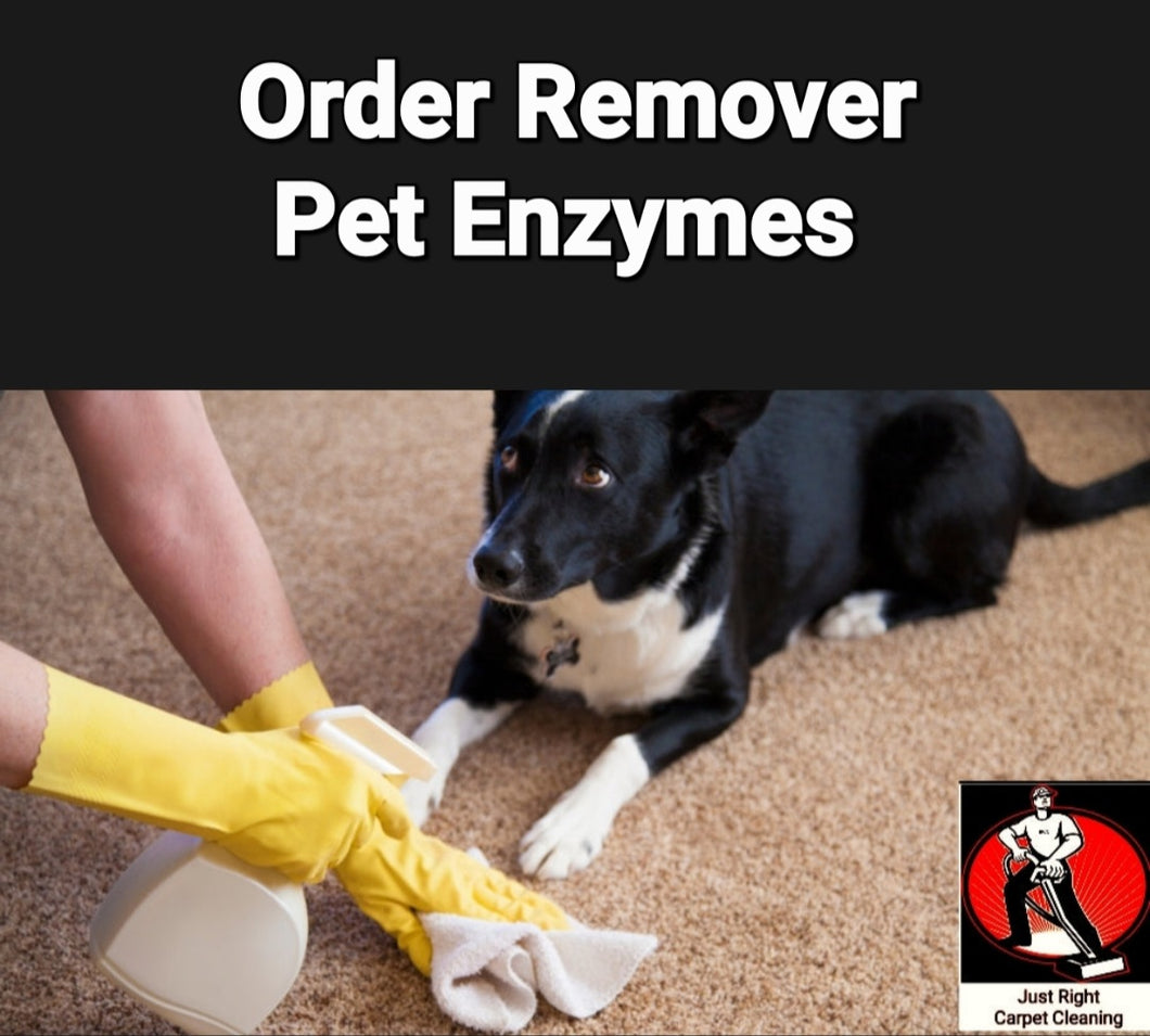 Pet Treatment/ Enzyme Treatment $20 