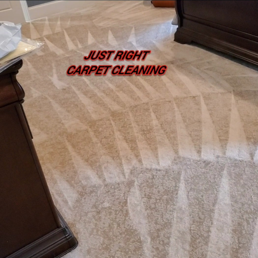 5 room carpet Cleaning