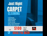 1 or 2 Room Carpet Cleaning Special $100