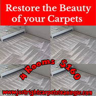4 Room Carpet Cleaning Special  (Does not cover pet urine).