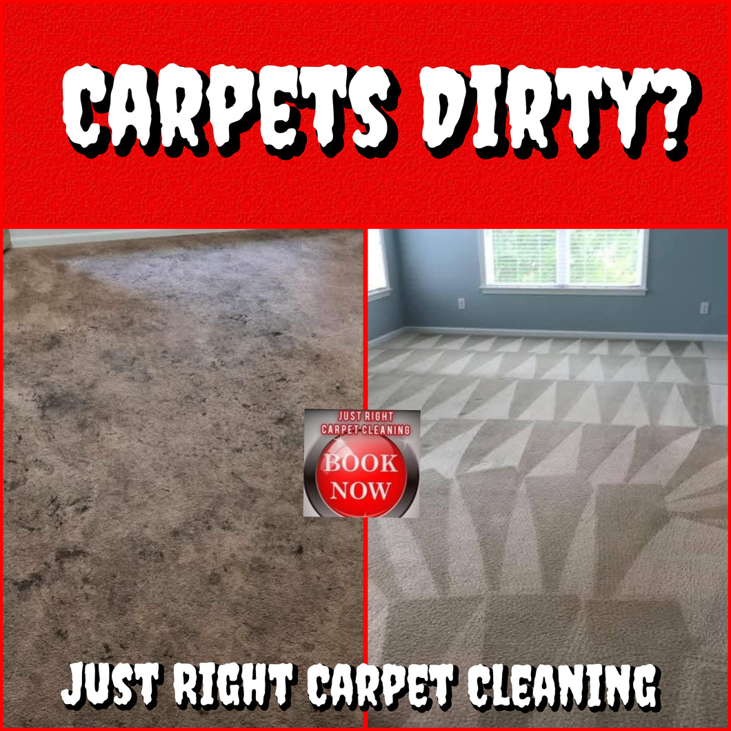 1 or 2 Rooms   Carpet Cleaning $100