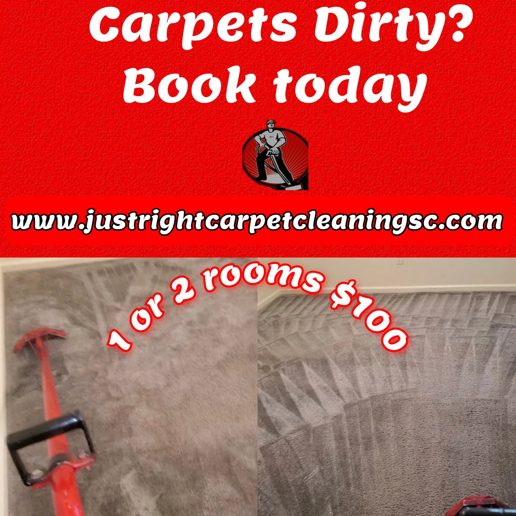 1 or 2 Rooms   Carpet Cleaning $100